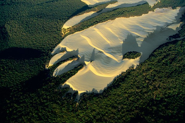 019-Песчаная дюна посреди лесов на острове Фрезер, Австралия